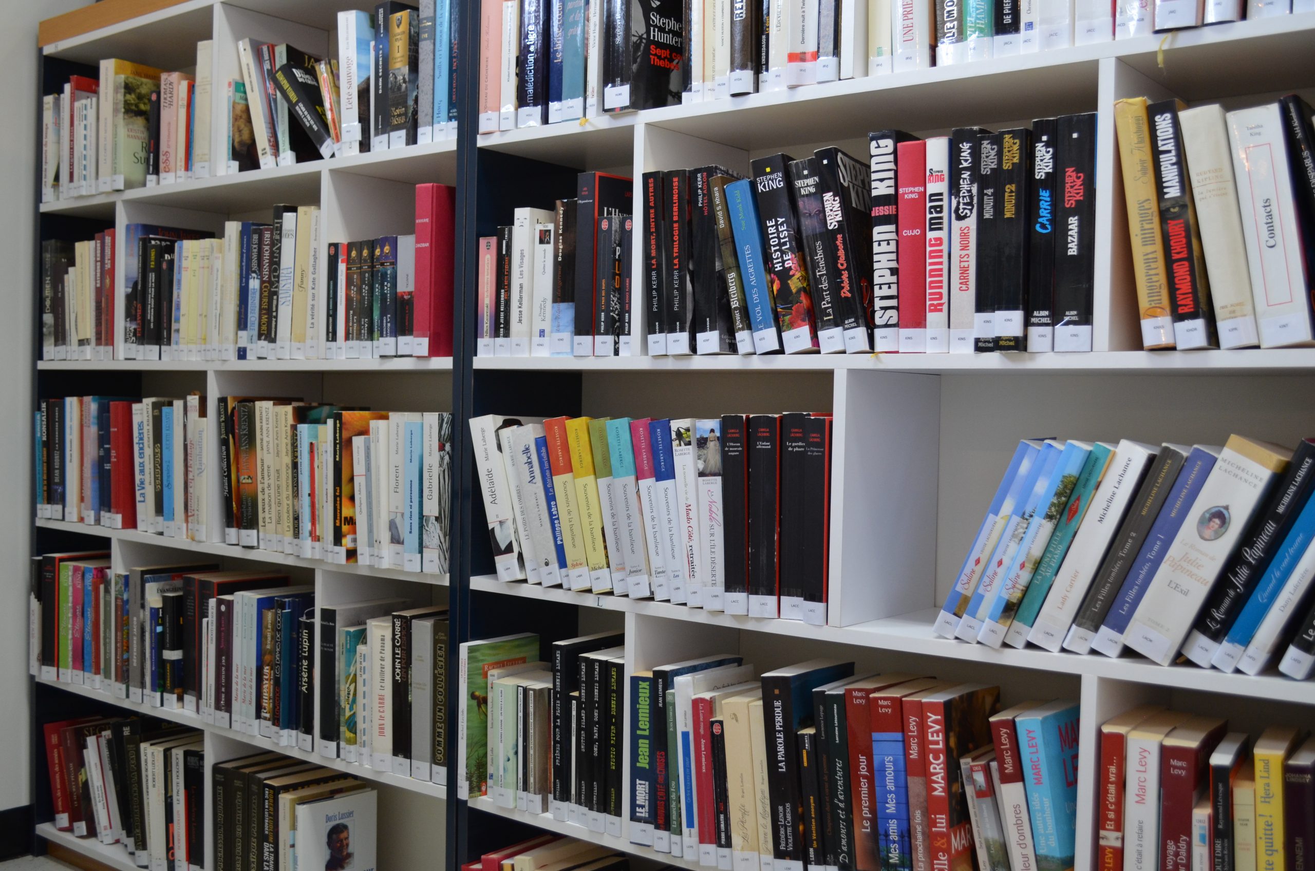 L'organisation de mes bibliothèques – LittlePrettyBooks – Blog Littéraire